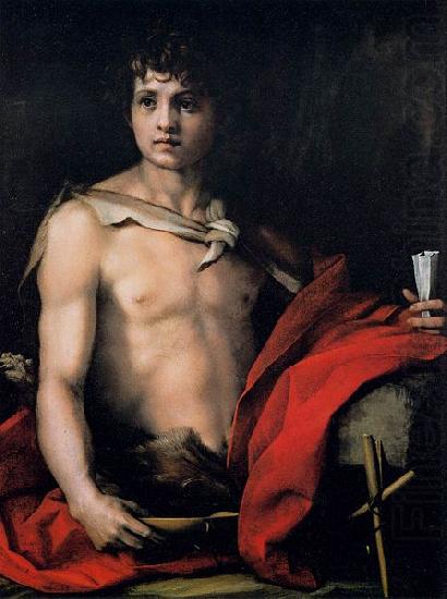 Andrea del Sarto St John the Baptist oil painting picture